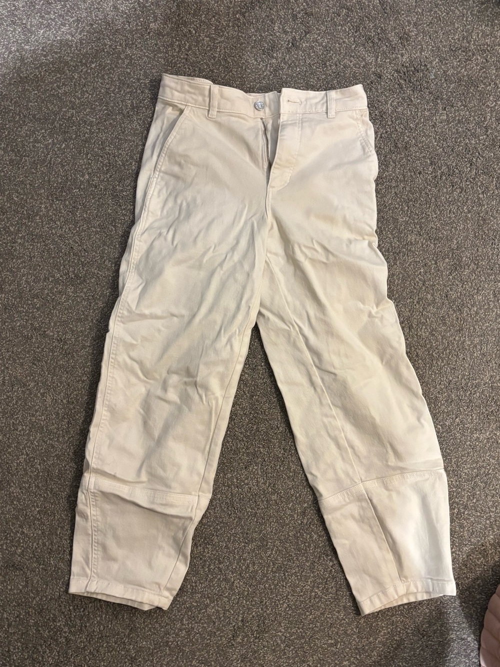 Everlane utility barrel leg pant